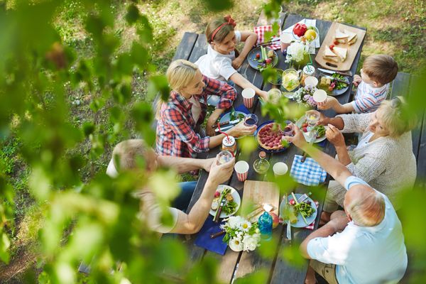 Picnicking Paradise: The Ultimate Guide to Backyard Picnic Ideas