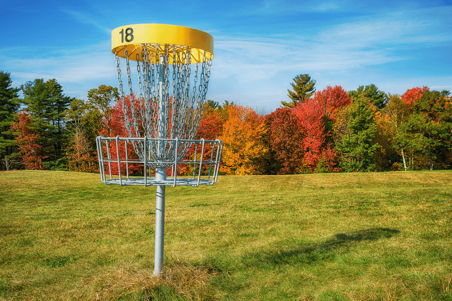 Aiming for the Chains: How to Play Disc Golf