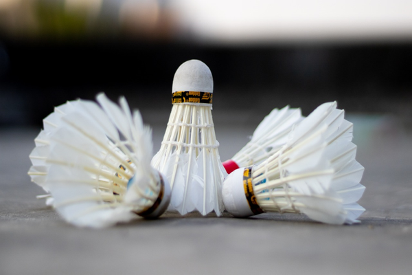 Flying True: A Guide to the Best Badminton Birdies