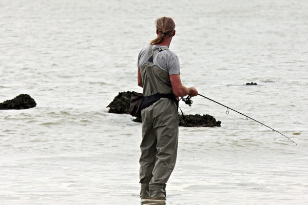 Ultimate Guide to Successful Fishing on Shore: Tips for Anglers of All Levels